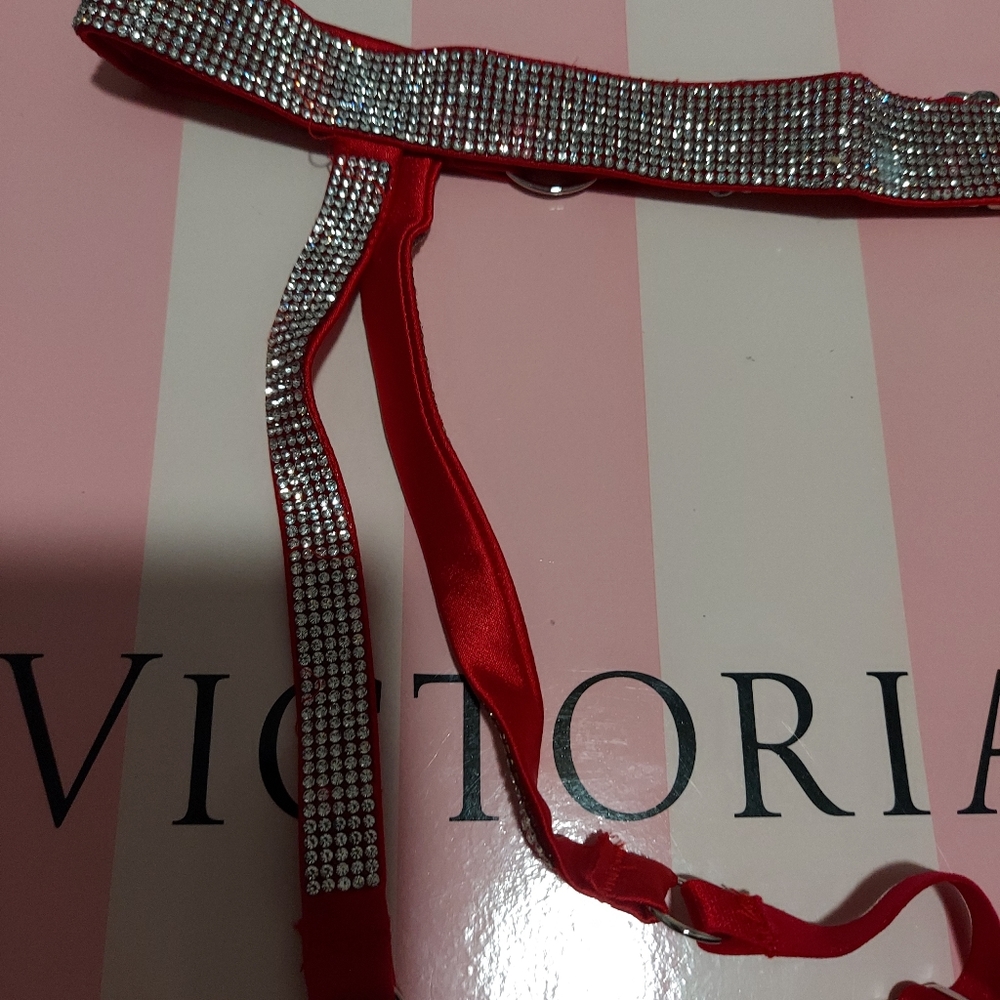 Victoria secret Shine Garter size XS/S NWT - Picture 6 of 8
